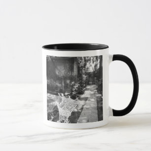 Taza CIUDAD DE MÉXICO, D.F., México, COYOACAN: Banco en