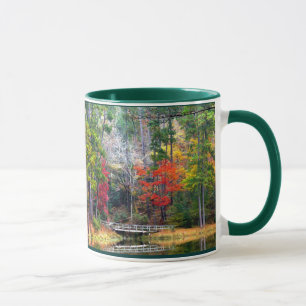 Taza Clear Springs - bosque del Estado de Homochitto