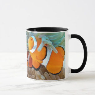 Taza Clownfish
