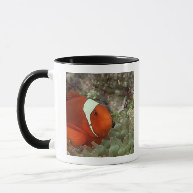 Taza Clownfish 2 (Izquierda)