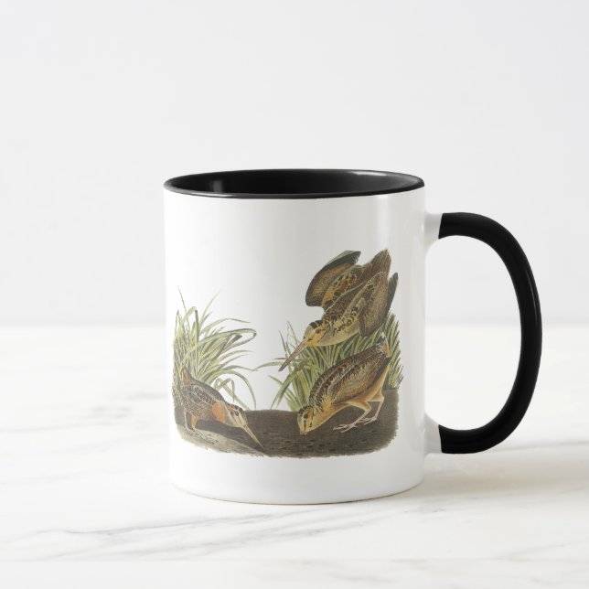 Taza Coalla americana, impresión de Juan Audubon (Derecha)