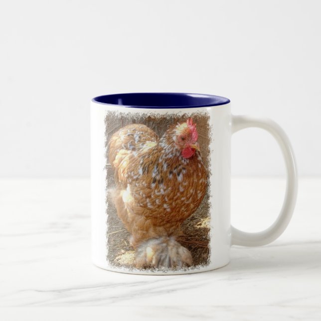 Taza - Cochin pequeno (Derecha)