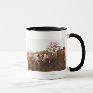Taza Cochinillos en corral