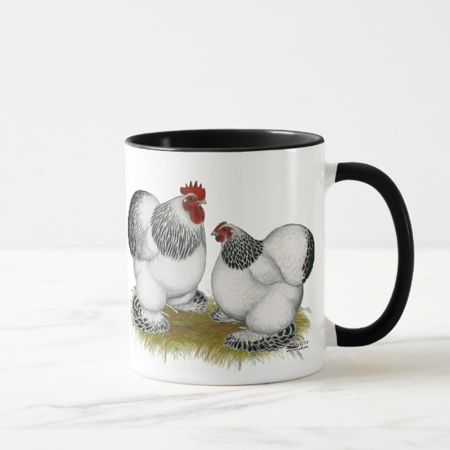 Taza Cochins: Bantams colombianos (Derecha)