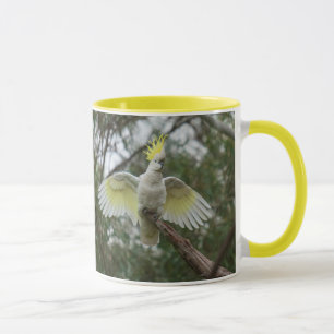 Taza Cockatoo Parrot Animal Australia