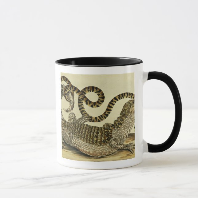 Taza Cocodrilo y serpiente, 1730 (grabado coloreado) (Derecha)