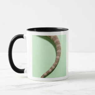 Taza Cola del dragón barbudo