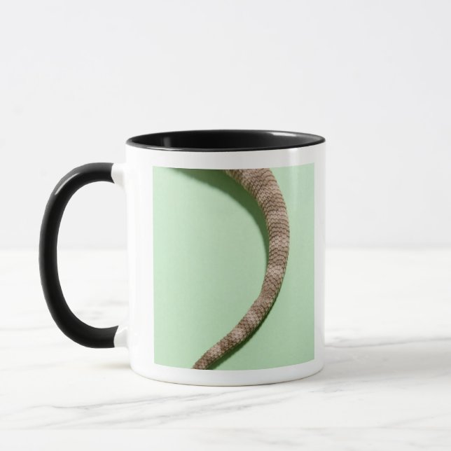 Taza Cola del dragón barbudo (Izquierda)