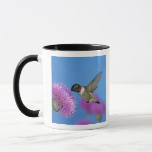 Taza Colibrí de garganta rubí