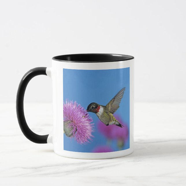 Taza Colibrí de garganta rubí (Izquierda)
