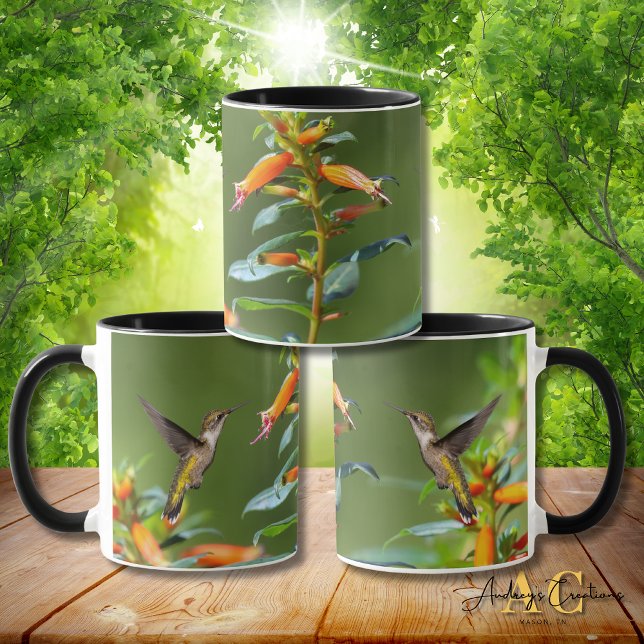 Taza Colibrí de Garganta Rubí "en Cuphea" (Subido por el creador)