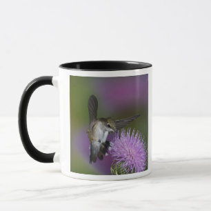Taza Colibrí de garganta rubí en vuelo en cardo