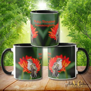 Taza Colibrí de Garganta Rubí "Gerber Daisys"