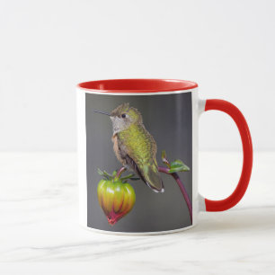 Taza Colibrí descansa en capullo de flor