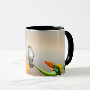 Taza Colibrí en una planta floreciente