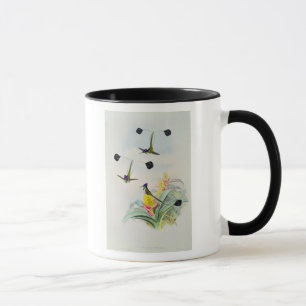 Taza Colibrí, grabado por Gualterio y Cohn