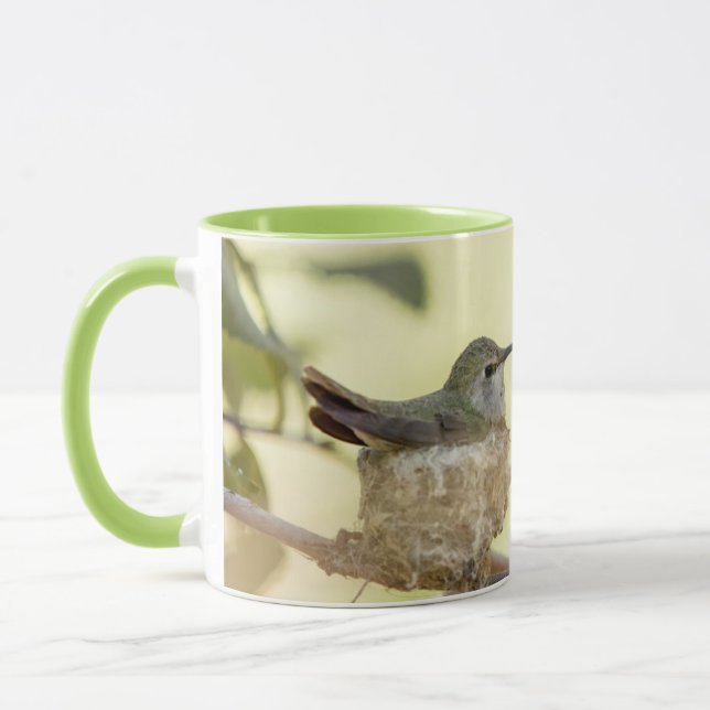 Taza Colibrí hembra en su nido (Izquierda)