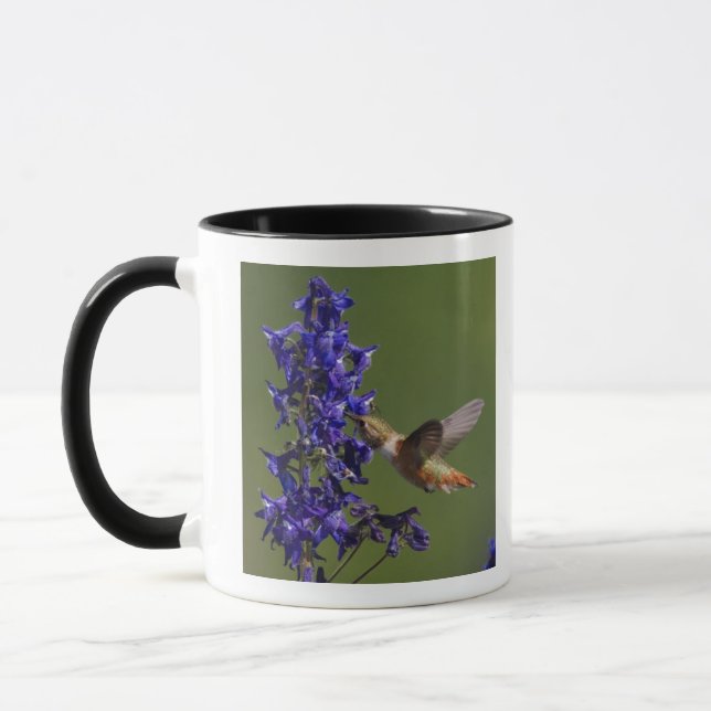 Taza Colibrí rufescente (Izquierda)