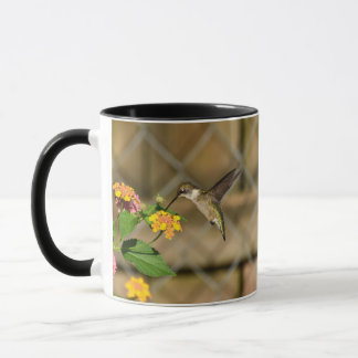 Taza Colibrí sobre Lantana 11 oz Mug