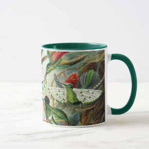 Taza Colibríes de Ernst Haeckel, aves vitícolas