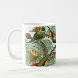Taza Colibríes de Ernst Haeckel, aves vitícolas