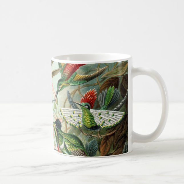 Taza Colibríes de Ernst Haeckel, aves vitícolas (Derecha)