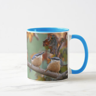 Taza Collage del trepatroncos