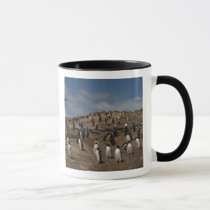 Taza Colonia Gentoo Penguin (Pygoscelis papua) en el oe
