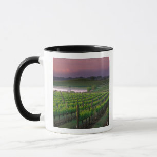 Taza Color del amanecer en la niebla distante detrás