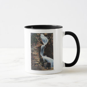 Taza Colorado Springs, CO - baje tres de la caída siete