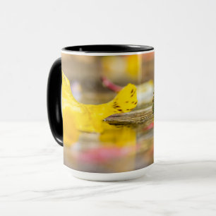 Taza Colores de caída