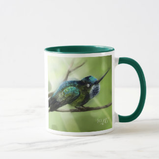 Taza Colorfly