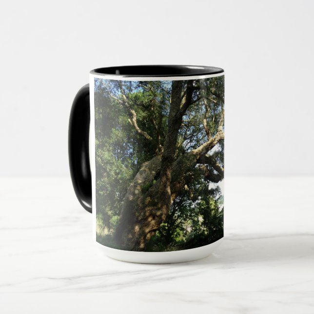 Taza combinada de foto de árbol antiguo (Anverso izquierdo)