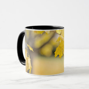 Taza Combo