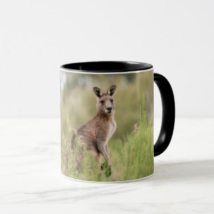 Taza Combo Mug