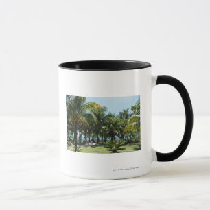 Taza Complejo playero