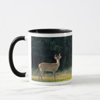 Taza con foto de ciervo
