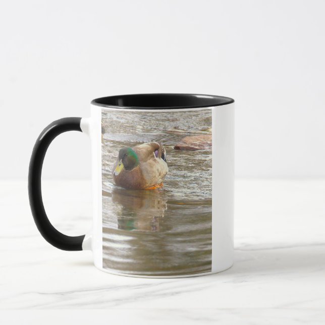 Taza con foto de pato real (Izquierda)