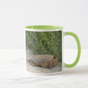 Taza con foto de tortuga