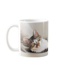 Taza con foto de un bonito amigo felino