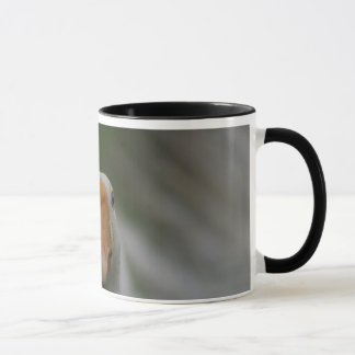 Taza con los gansos…
