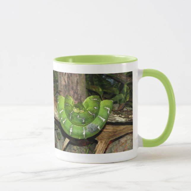 Taza con ribete de serpiente Boa verde (Derecha)