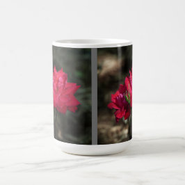 Taza con Rosa Roja