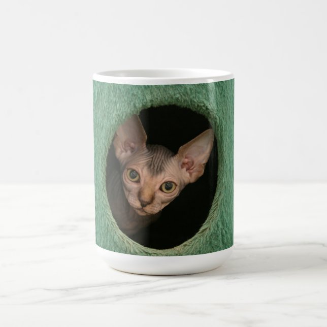 Taza con un gatito lindo del sphynx (Centro)