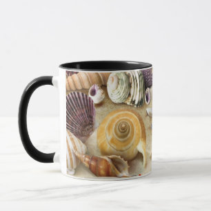 Taza conchas marinas en la playa