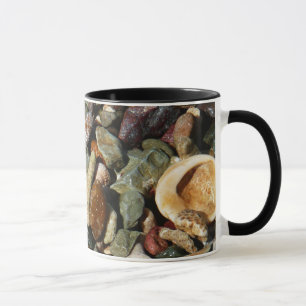 Taza conchas, rocas y fotografía de la naturaleza coral