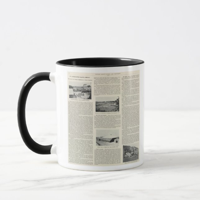 Taza Condado de Sonoma, California (Izquierda)
