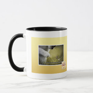 Taza Condenación sobre sí mismo