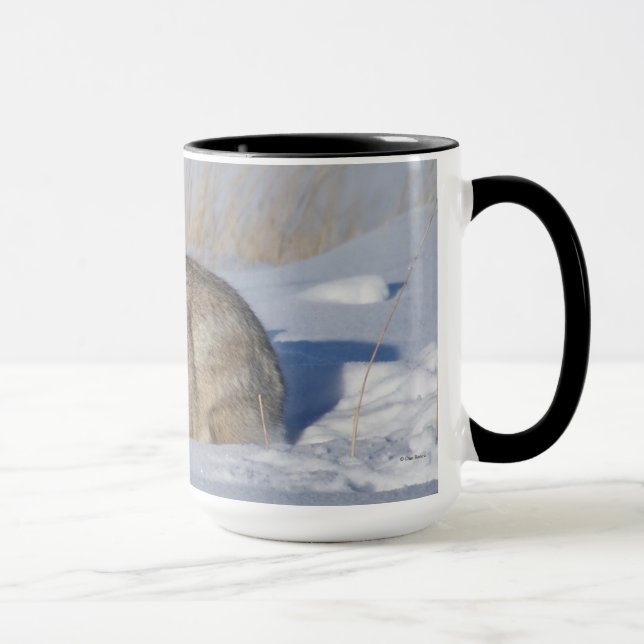 Taza Conejo de cola de algodón R5 en la nieve (Derecha)