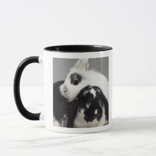 Taza conejo Enano-espigado que se inclina sobre de